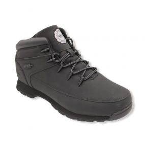 8866 MONTANTE